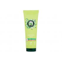 Herbal Essences Moisturise      250Ml Ženski (Conditioner) Aloe Conditioner