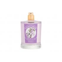 Monotheme Classic Collection Wisteria      100ml(Eau de Toilette)Bez kutije Ženski