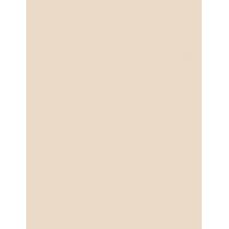 Dr. Hauschka Concealer   2,5Ml 01 Macadamia   Ženski (Korektor)