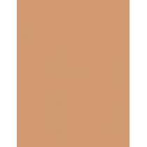 Clinique Beyond Perfecting      14,5G Ženski (Makeup) Powder Foundation + Concealer