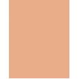 Erborian Cc Water Fresh Complexion Gel Skin Perfector 40Ml  Ženski  (Cc Cream)  Clair