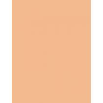 Bourjois Paris Always Fabulous 24H  30Ml 110 Light Vanilla  Spf20 Ženski (Makeup)