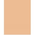 Shiseido Synchro Skin Radiant Lifting  SPF30   350 Maple 30ml(Makeup) Ženski