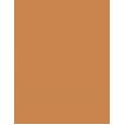 Erborian Bb Creme Makeup-Care Face Cream 15Ml  Ženski  (Bb Cream) SPF20 Caramel