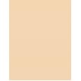 Shiseido Synchro Skin Self-Refreshing  SPF30   130 Opal 30ml(Makeup) Ženski