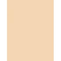 Shiseido Synchro Skin Self-Refreshing  SPF30   130 Opal 30ml(Makeup) Ženski
