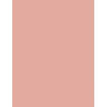 Maybelline Color Tattoo 24H Eyestix 1,4G  Ženski  (Eye Shadow)  20 I Am Inspired