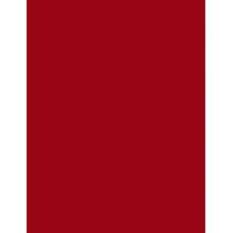 L'Oréal Paris Color Riche 1,2G    (Lip Pencil) Ženski  300 Lerouge Paris