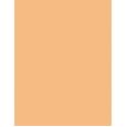 Shiseido Synchro Skin Self-Refreshing     304 Medium 5,8ml(Corrector) Ženski