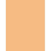 Shiseido Synchro Skin Self-Refreshing     304 Medium 5,8ml(Corrector) Ženski