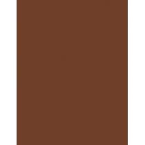 Erborian Cc Water 15Ml Fresh Complexion Gel Skin Perfector   (Cc Cream) Ženski  Chocolat