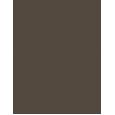 Inebrya Color      5/8 Light Chestnut Matte 100ml(Hair Color) Unisex