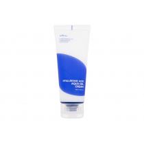 Isntree Hyaluronic Acid      100Ml Ženski (Day Cream) Aqua Gel Cream