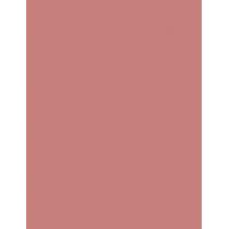 Shiseido Lipliner Inkduo 1Pc    (Lip Pencil) Unisex  03 Mauve