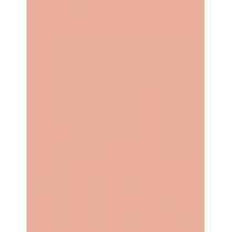 Max Factor Creme Puff   14G 81 Truly Fair   Ženski (Puder)