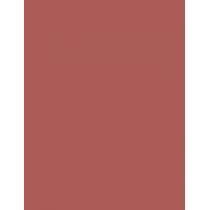 Shiseido Modernmatte 4G Powder Lipstick   (Lipstick) Ženski  506 Disrobed