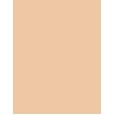 Shiseido Synchro Skin Self-Refreshing  SPF30   240 Quartz 30ml(Makeup) Ženski